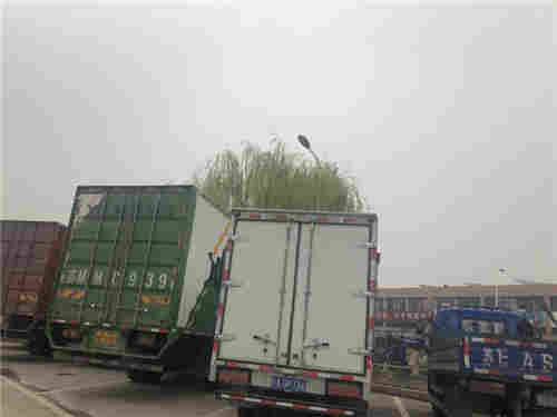 蘇州市順佳物流 專業(yè)連接蘇州與浙江的大件運(yùn)輸服務(wù)專家